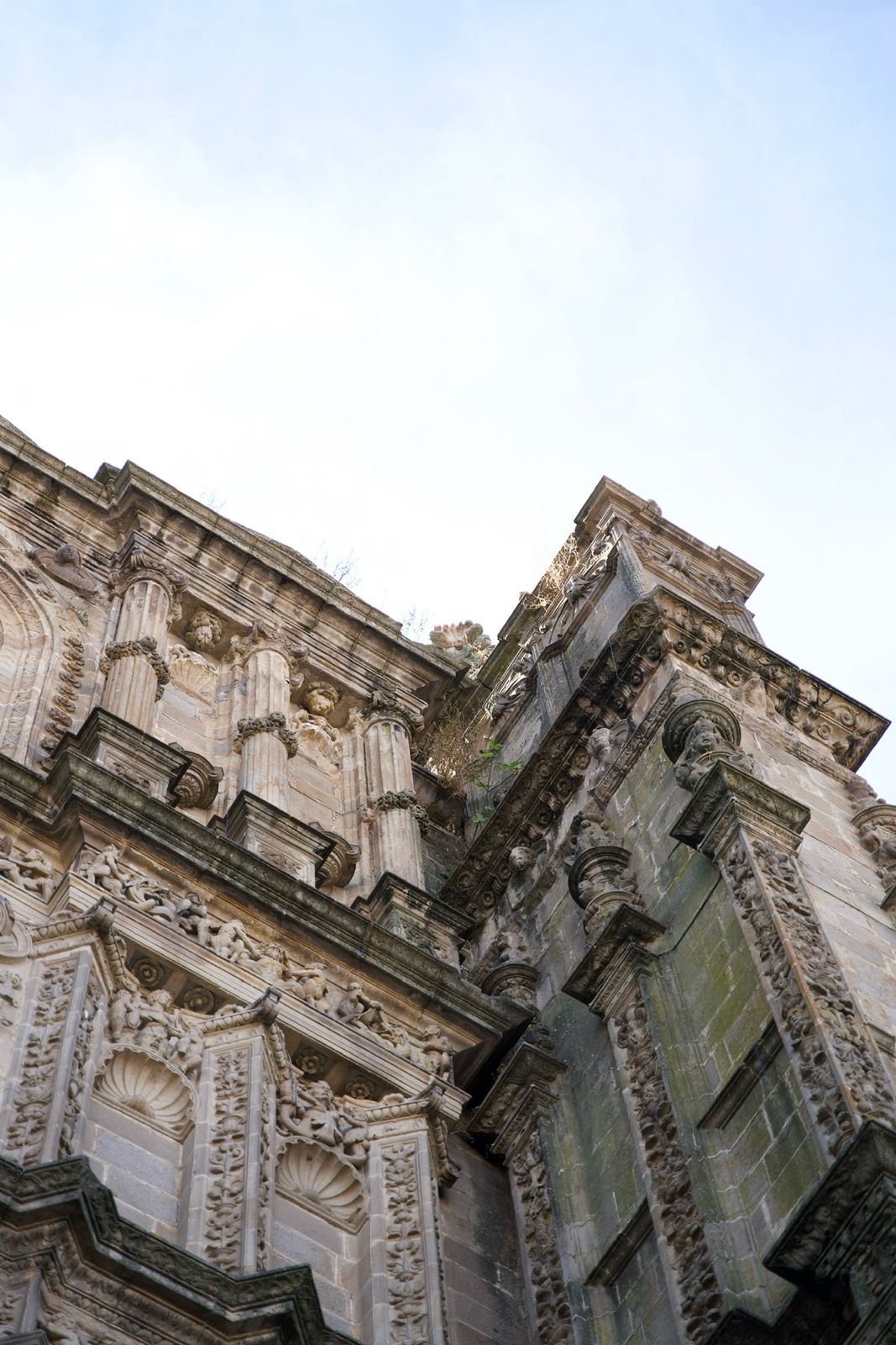 Whatsapp Image 2025-10-20 At 11.49.14